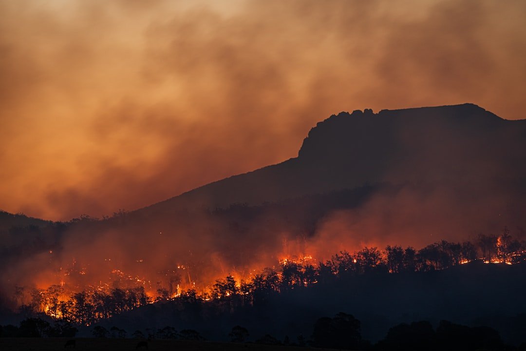 Incendies et pollution de l’air