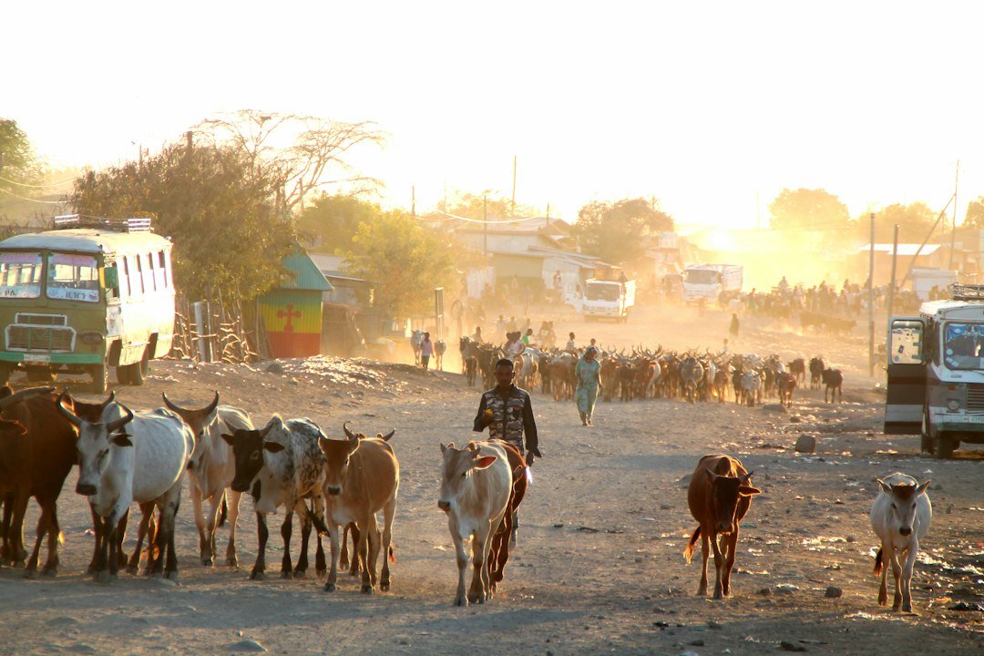 Paysage éthiopien illustrant la situation au Tigré